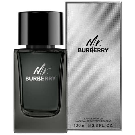 burberry mr burberry edp.